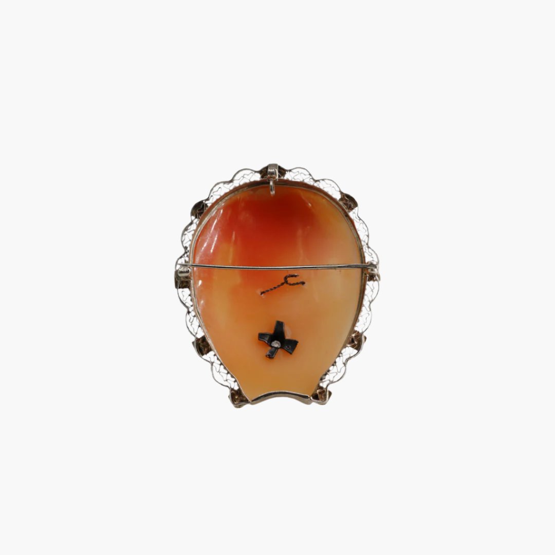 Hoefijzer Cameo Habille hanger/broche